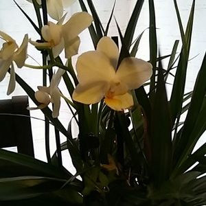 Meet your Posher, Eva